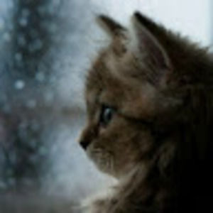 Meet your Posher, Marlene